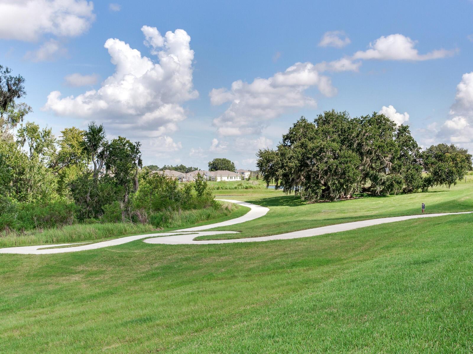 Walking trails in conservation area behind house