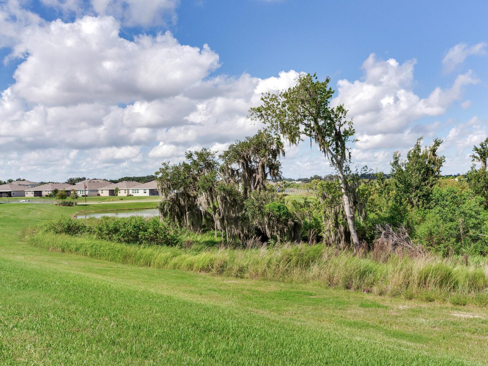 Conservation view