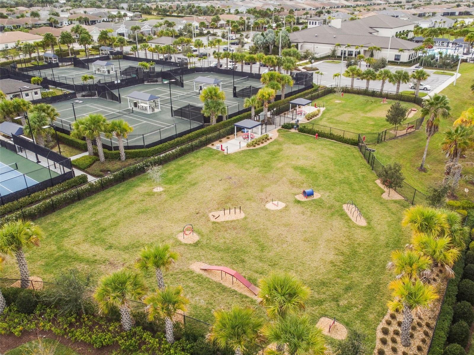 Dog Park