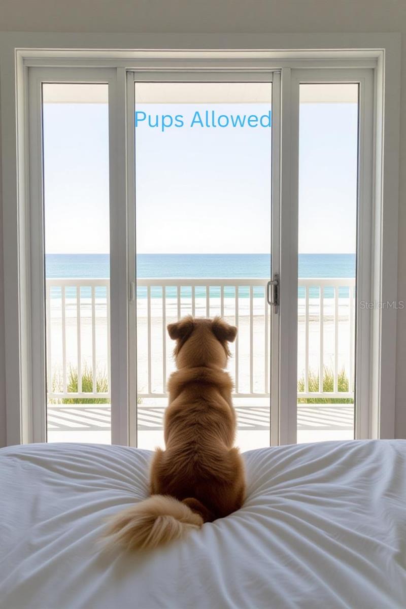PUPS ALLOWED.