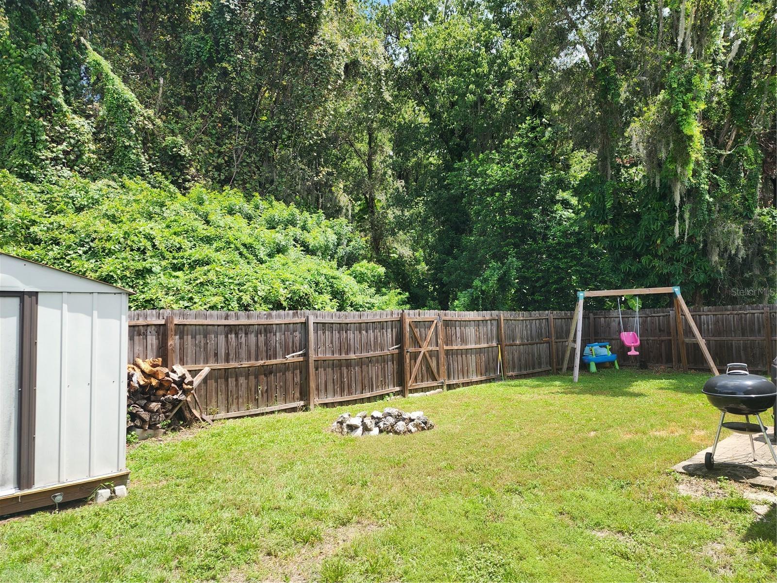 Back yard