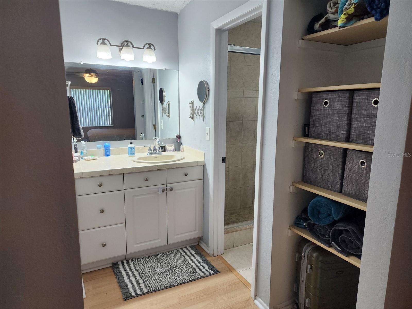 Primary bathroom area