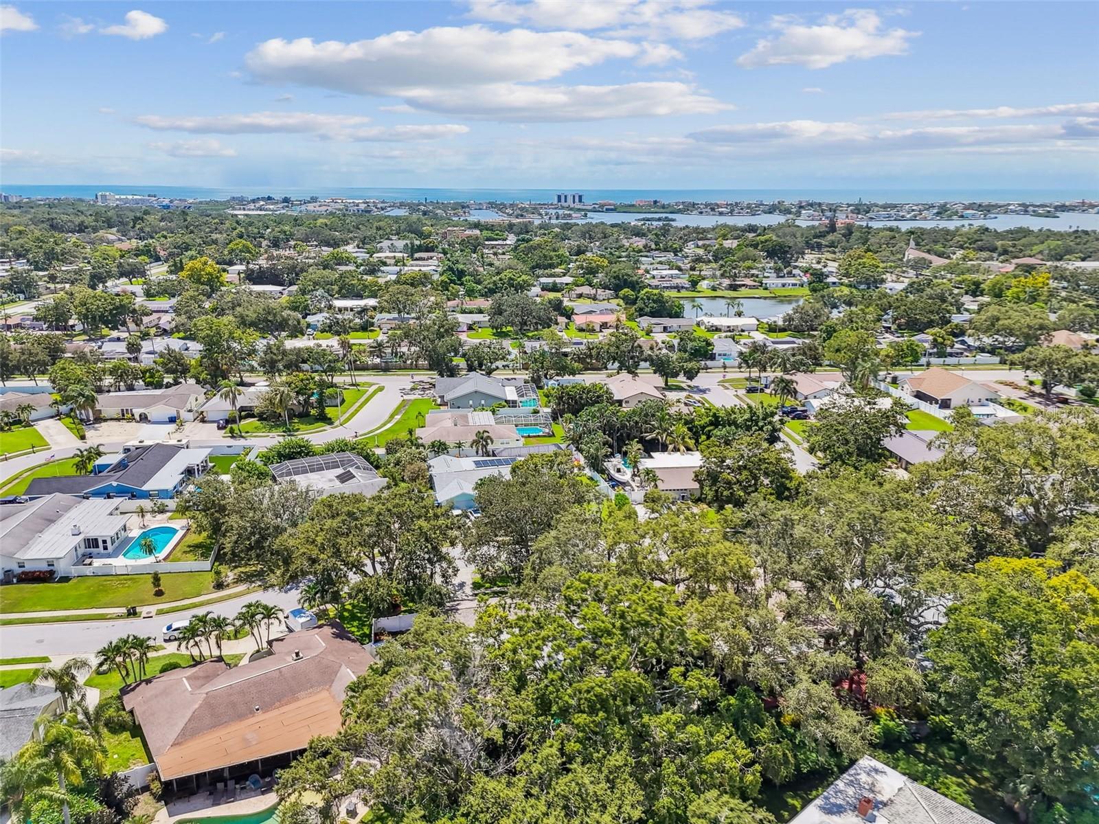 Beautiful tree lined neighborhood