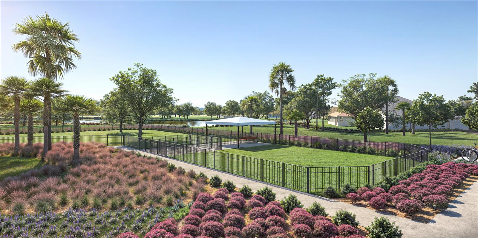 Dog Park Rendering
