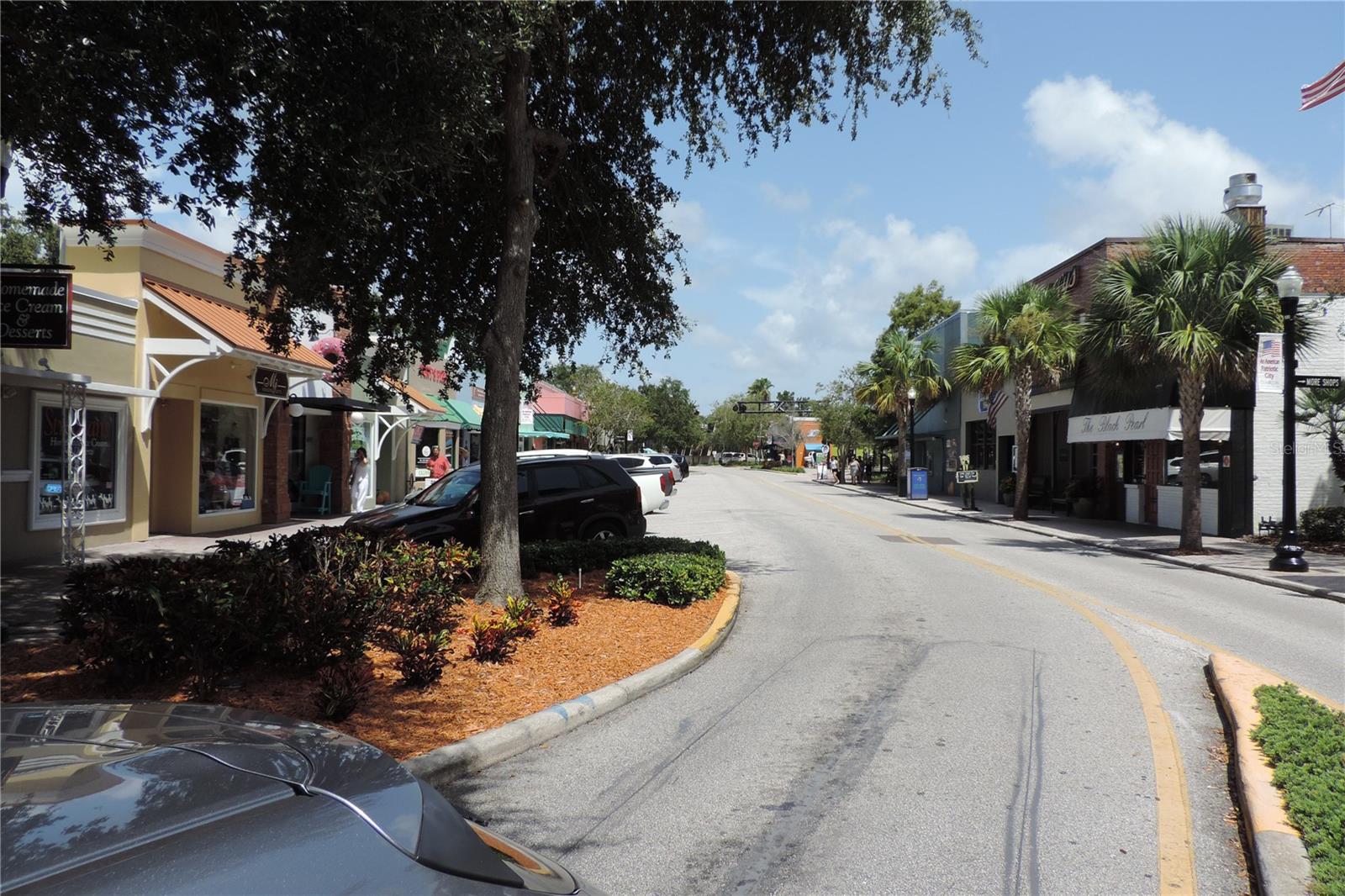 Pinellas Trails for walking and biking in Dunedin