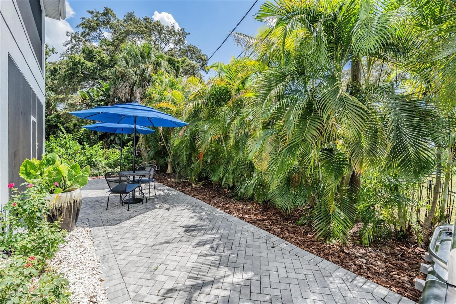 Outdoor Oasis