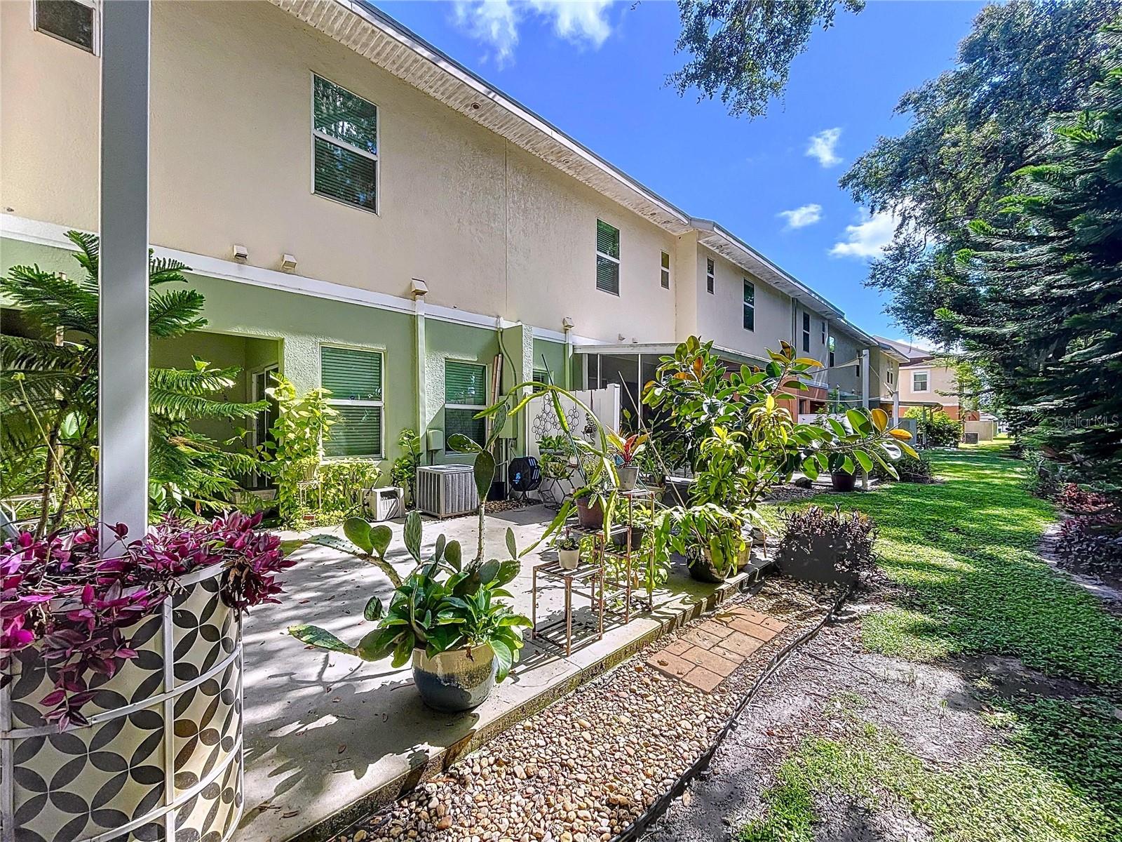 Back patio - lush landscape