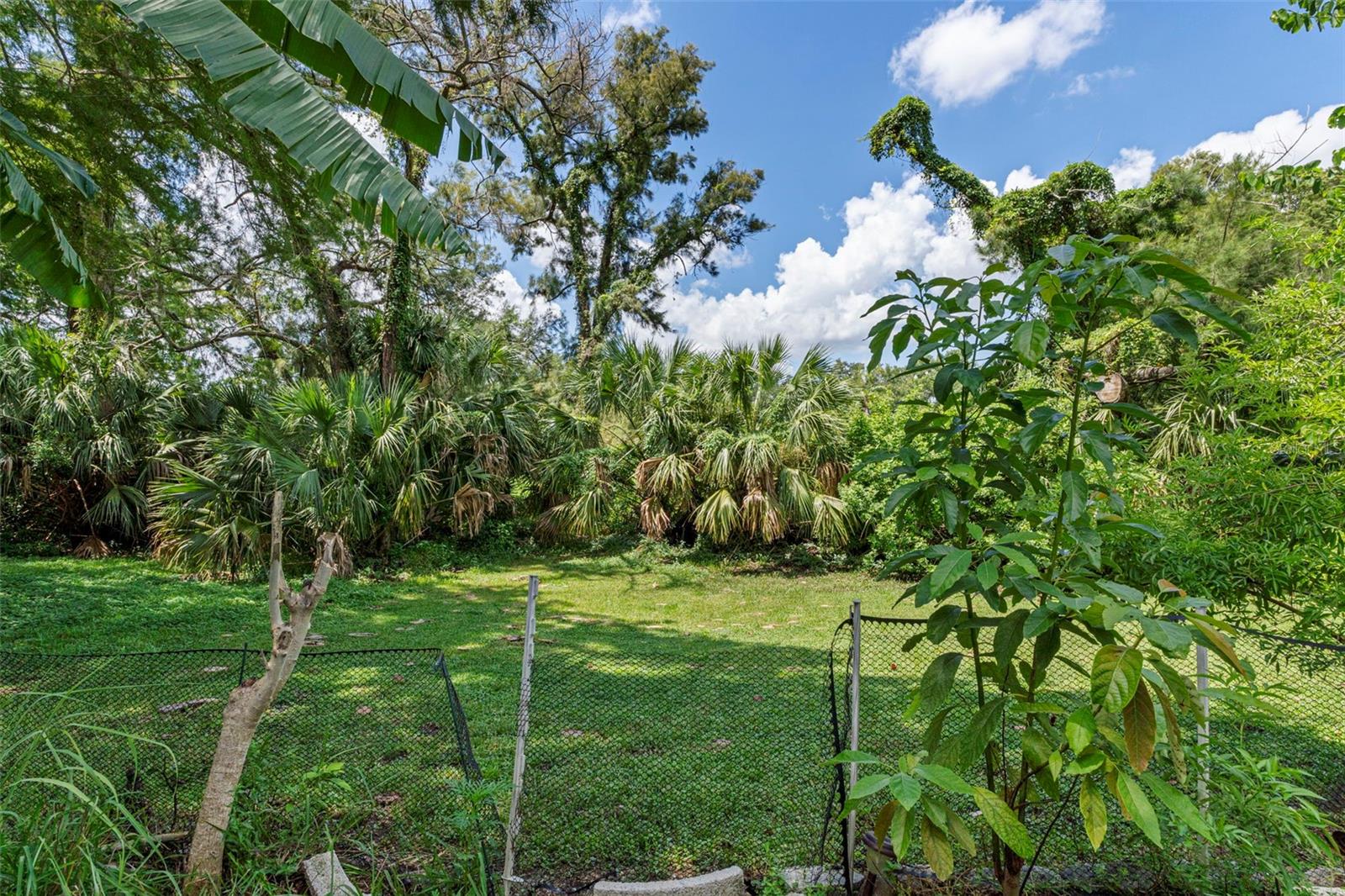 Lush Back yard views.