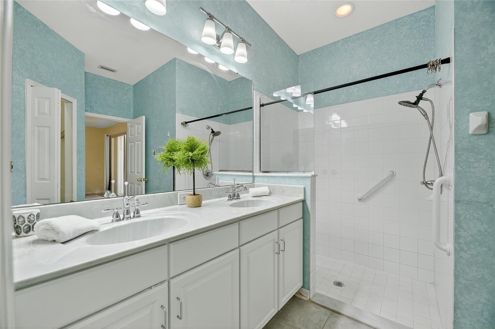 dual sinks