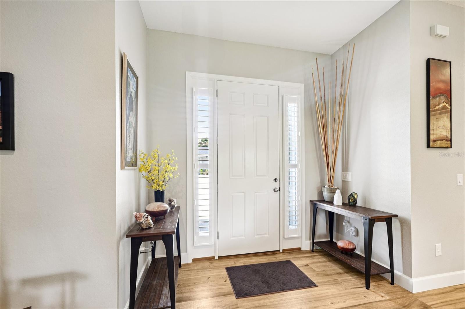 Beautiful 8ft entry door