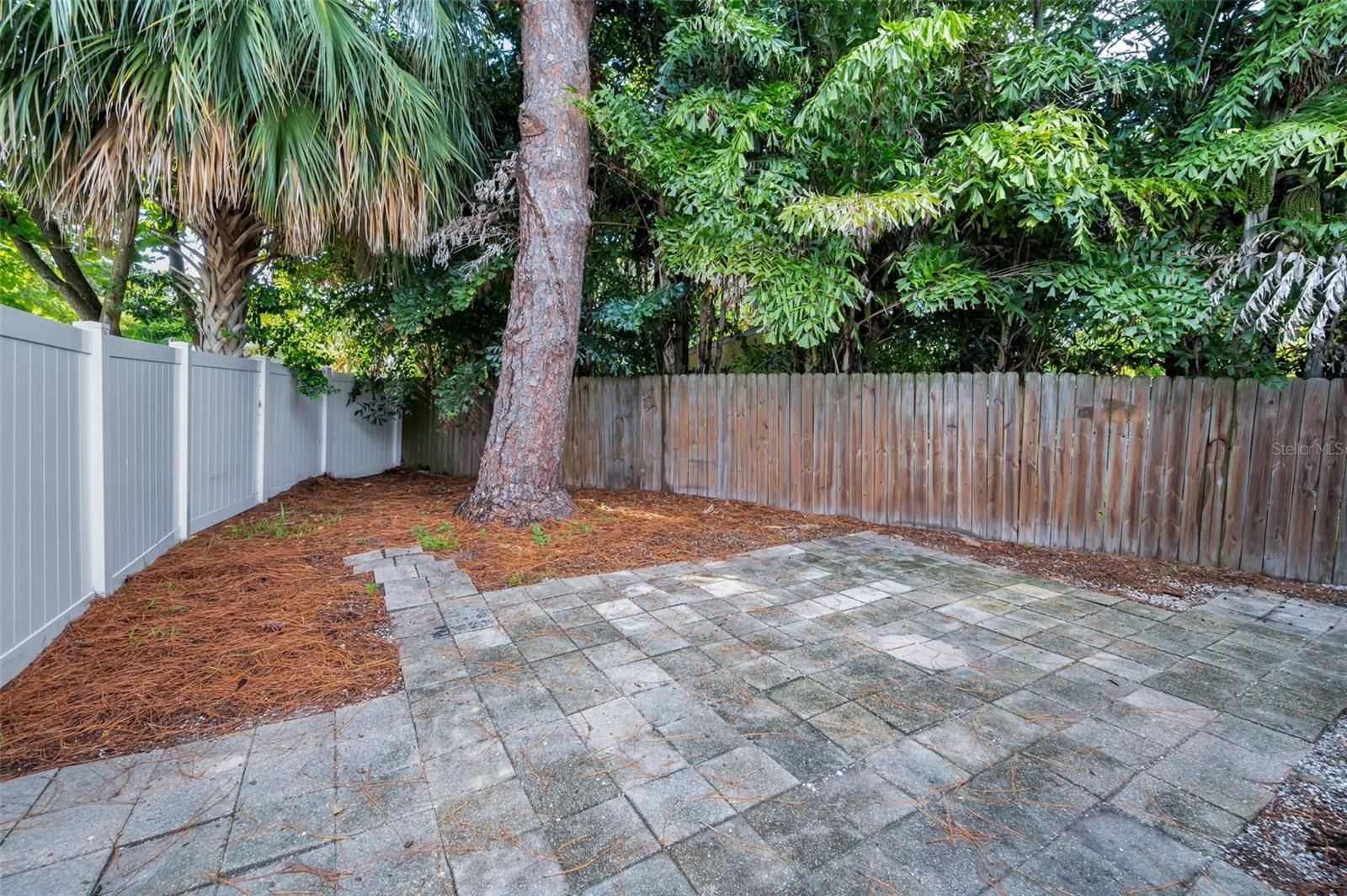 Patio/Backyard