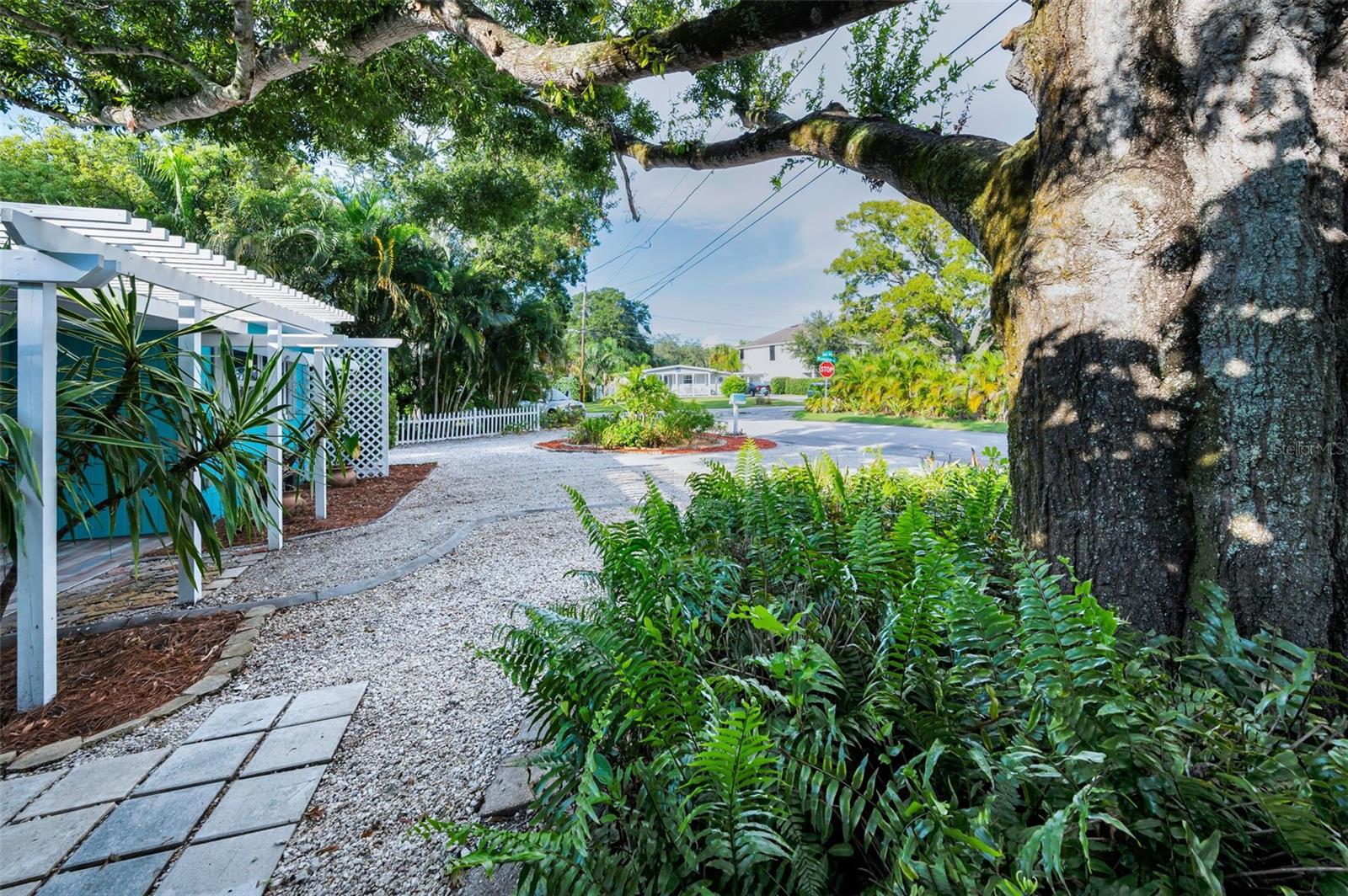 Front Yard