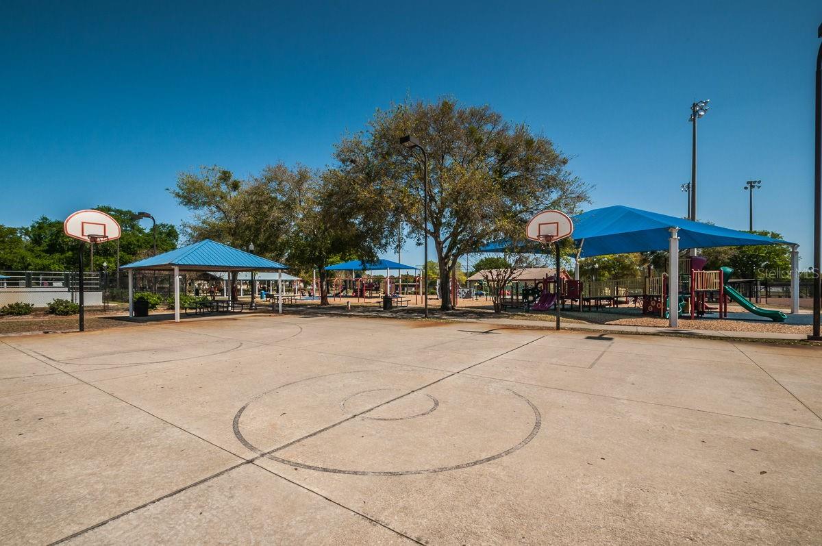 Safety Harbor Basketball Courts