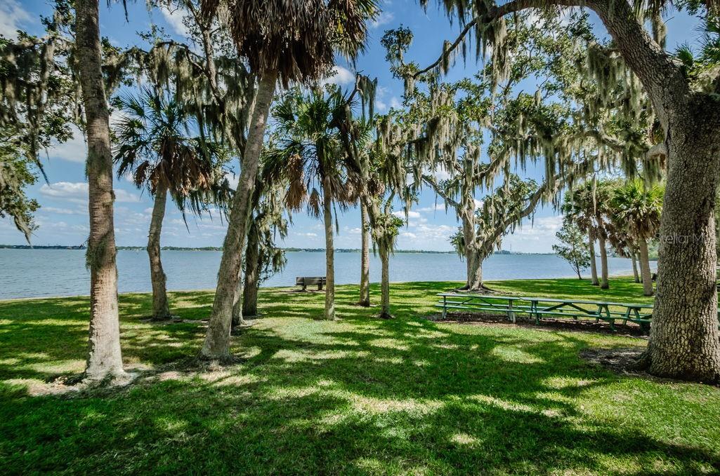 Safety Harbor