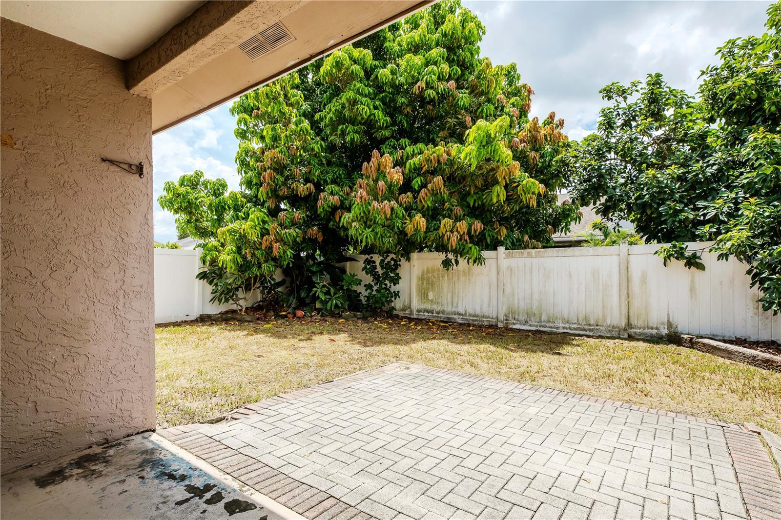 Back porch and views of fruit trees - avocado and mango