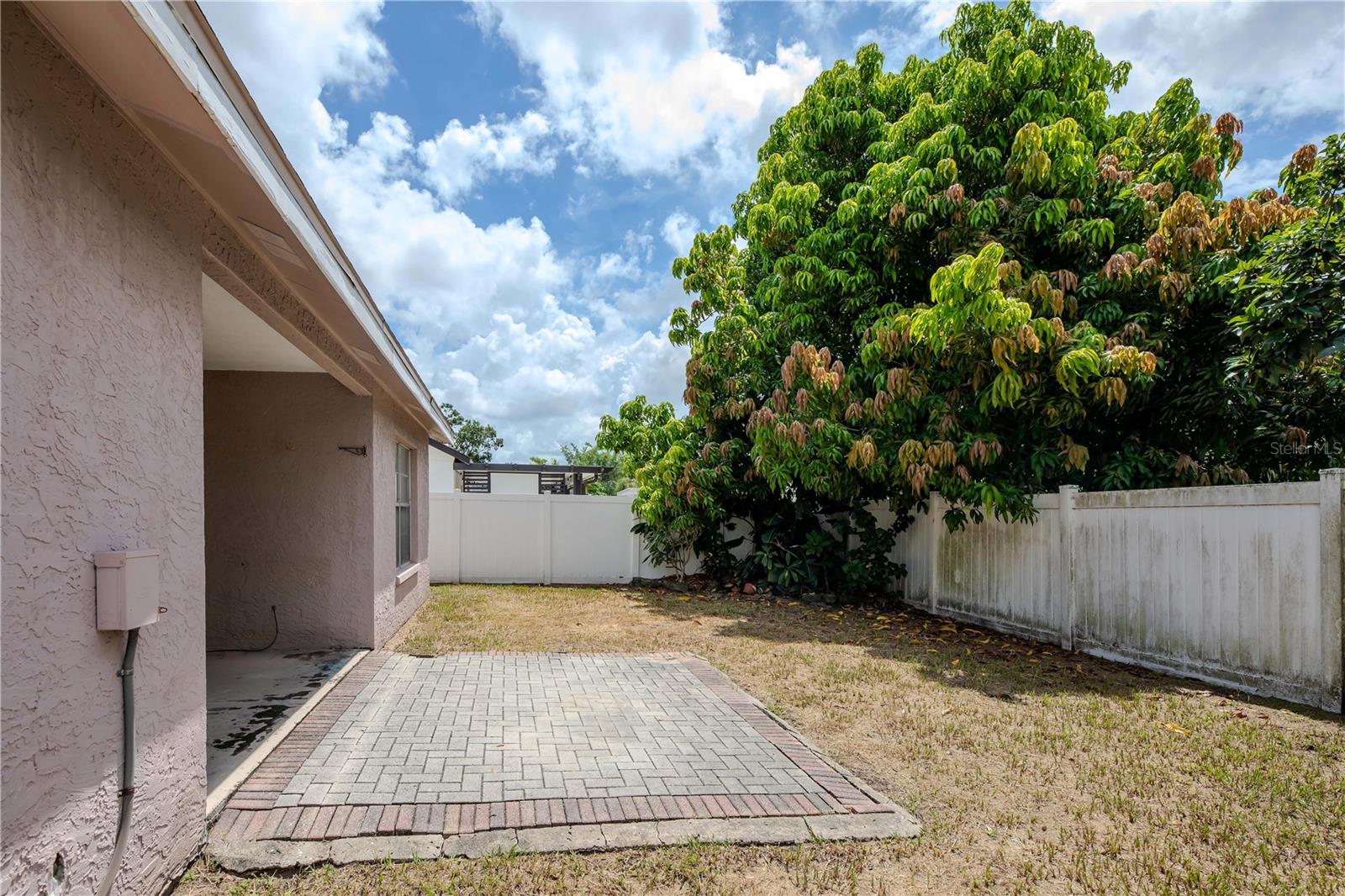 Back porch and views of fruit trees - avocado and mango