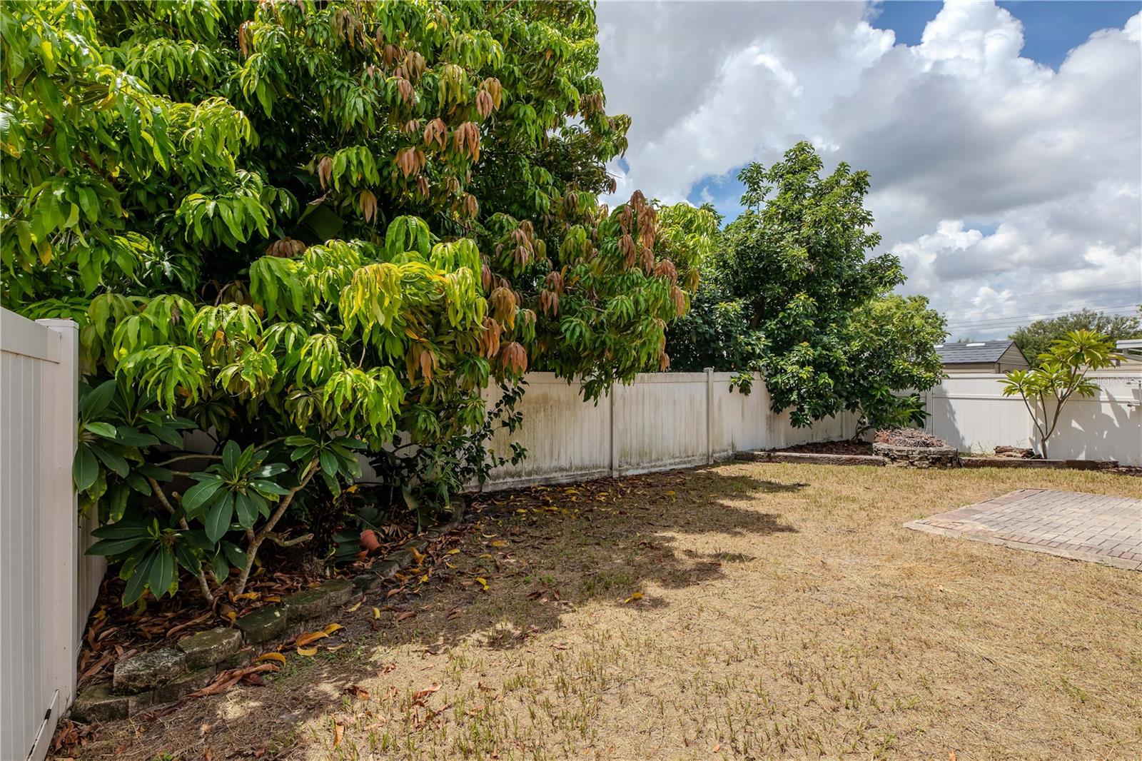 Back porch and views of fruit trees - avocado and mango