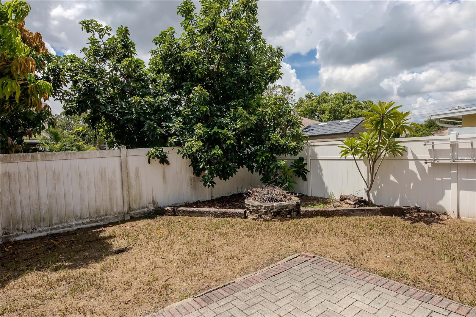 Back porch and views of fruit trees - avocado and mango