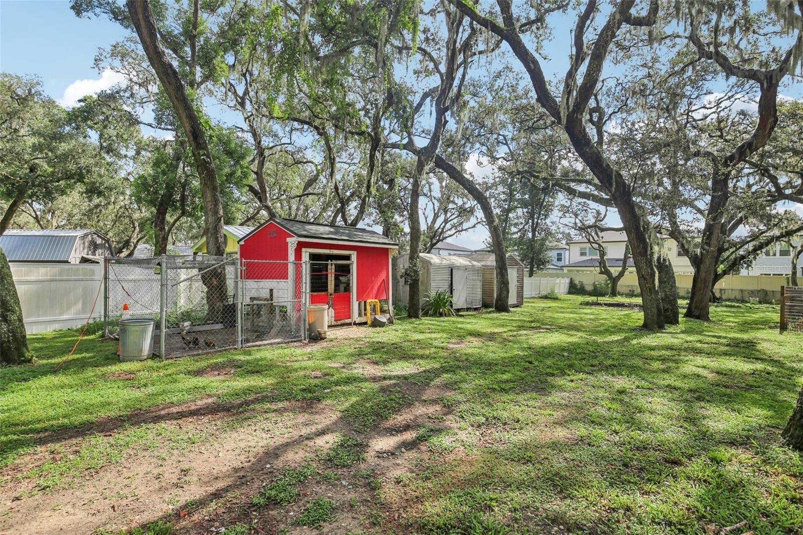 Chicken coop and sheds on property