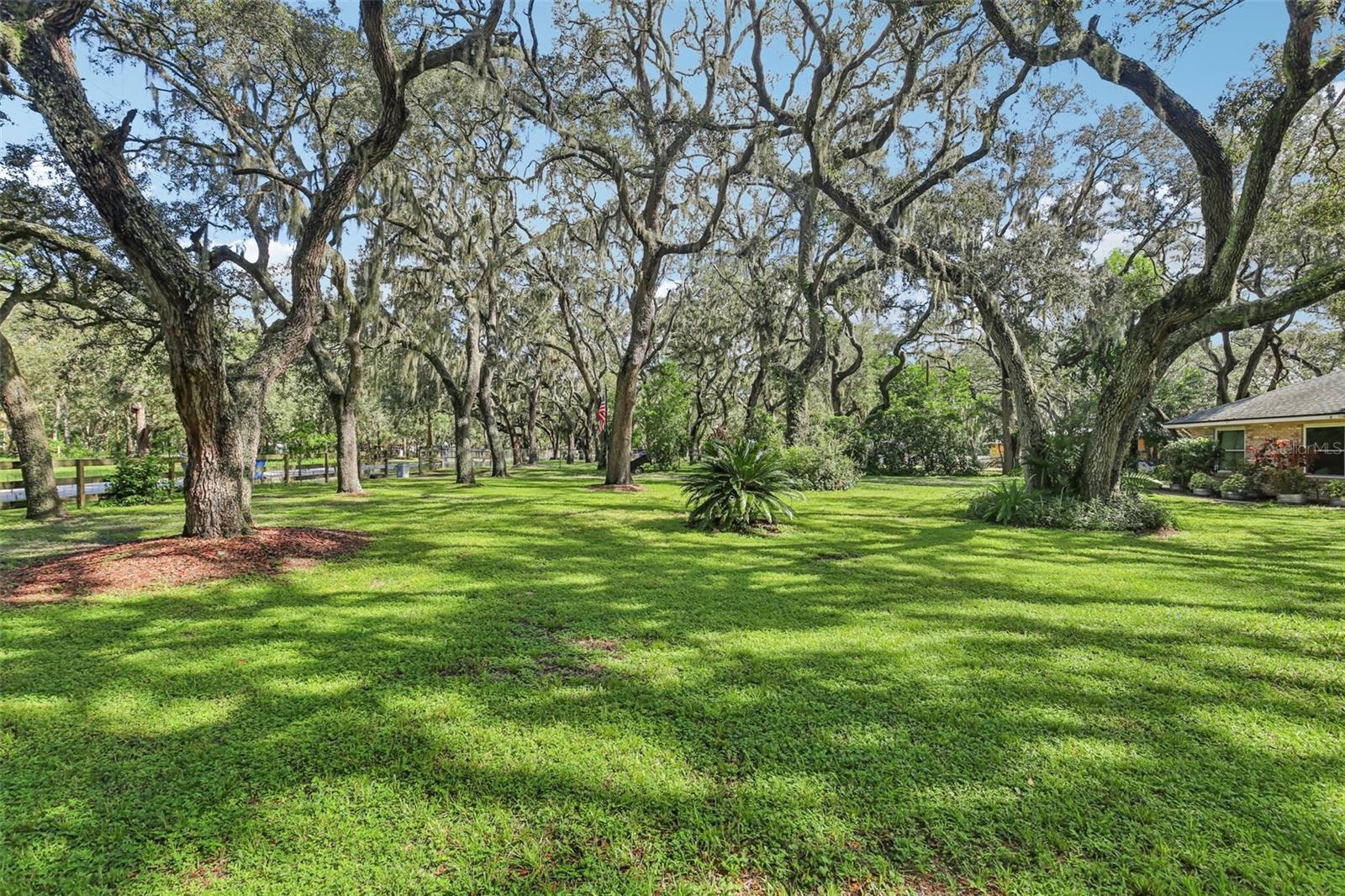 Large front yard