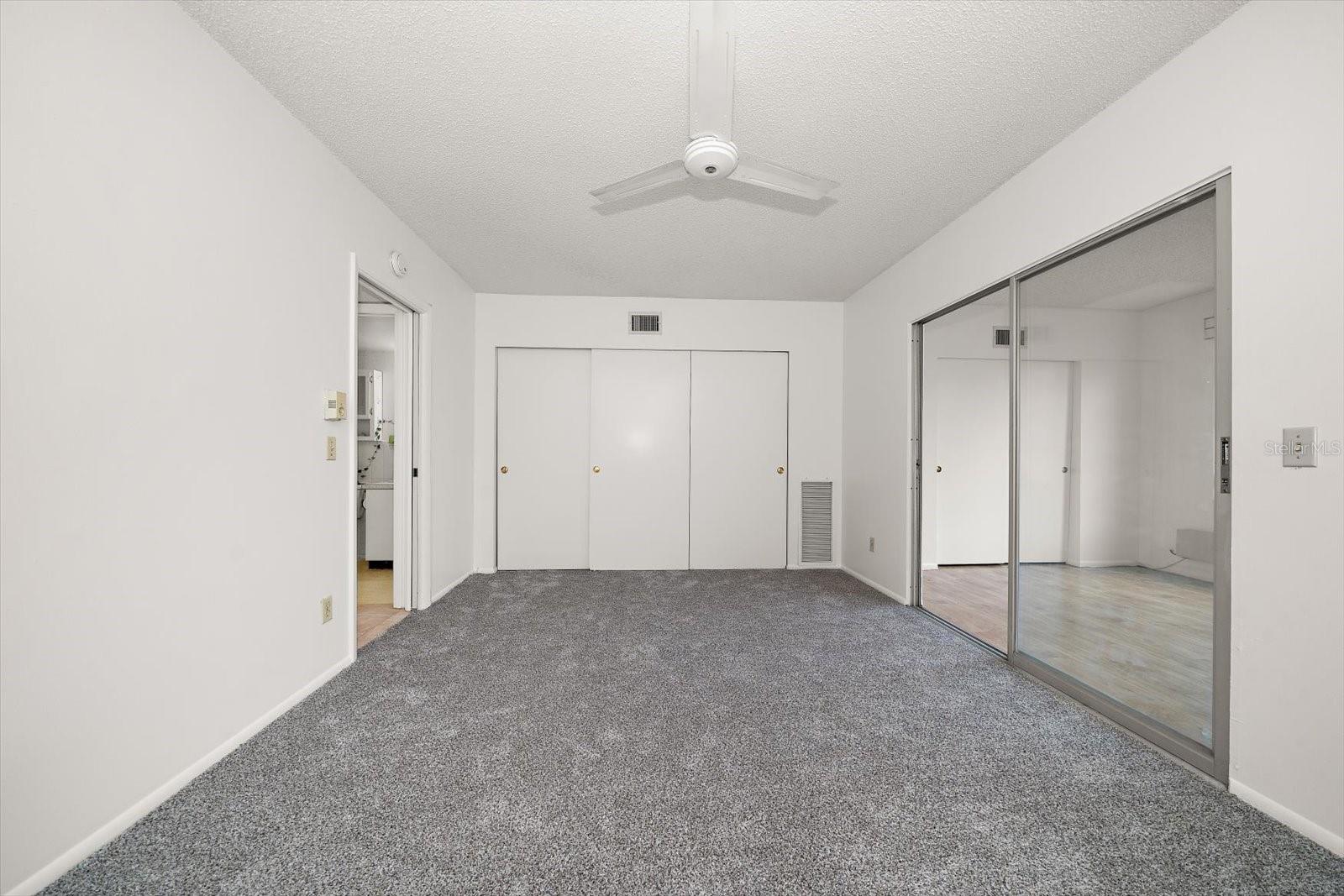 Bedroom with Large Closet
