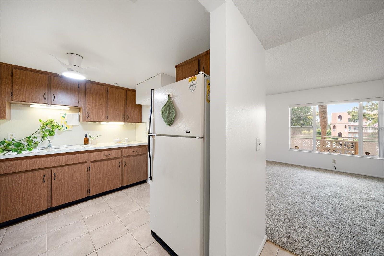 Plenty of storage in the kitchen.