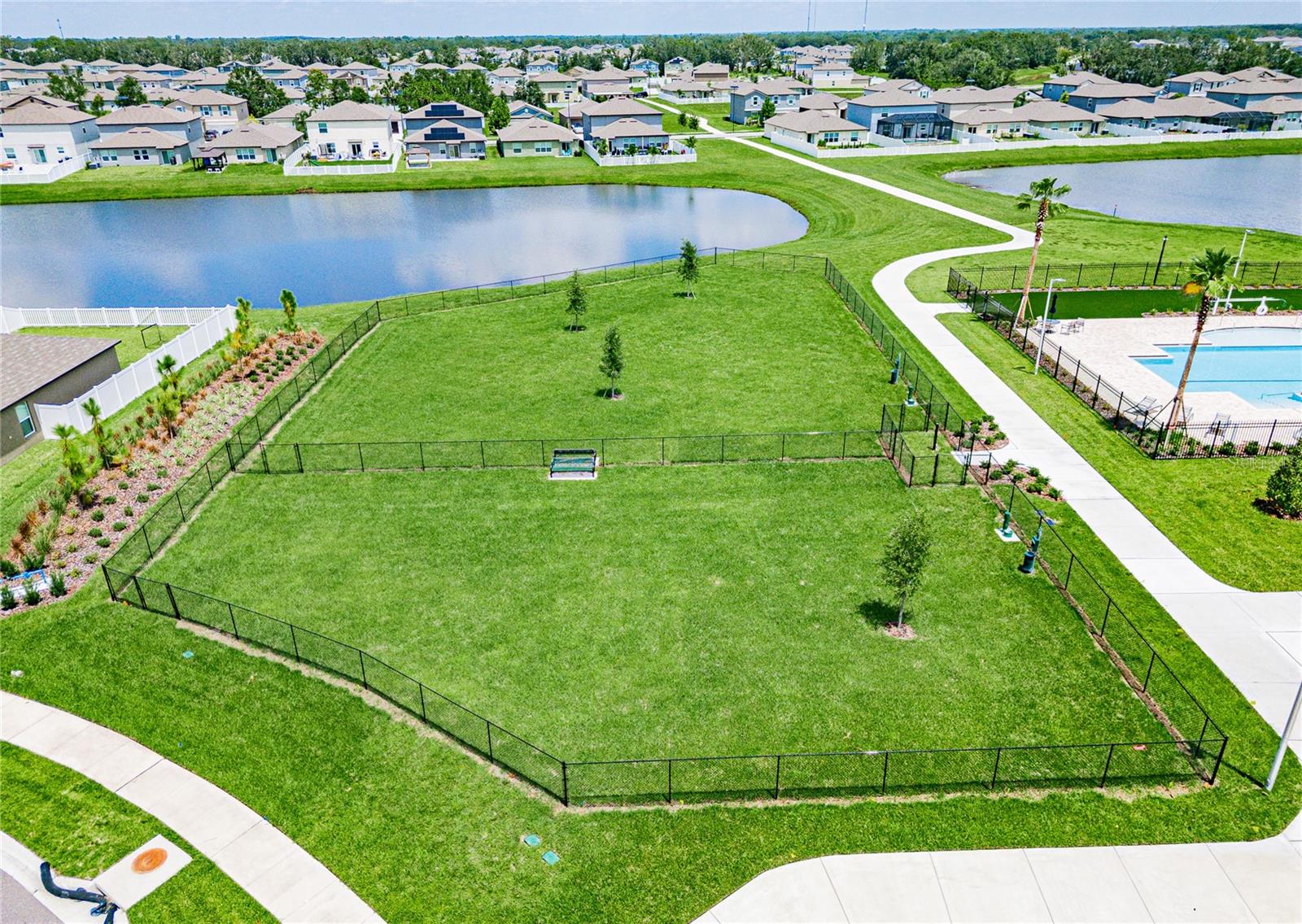 Community Dog Park