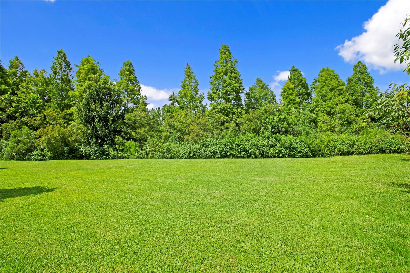 Oversized yard outside of lanai