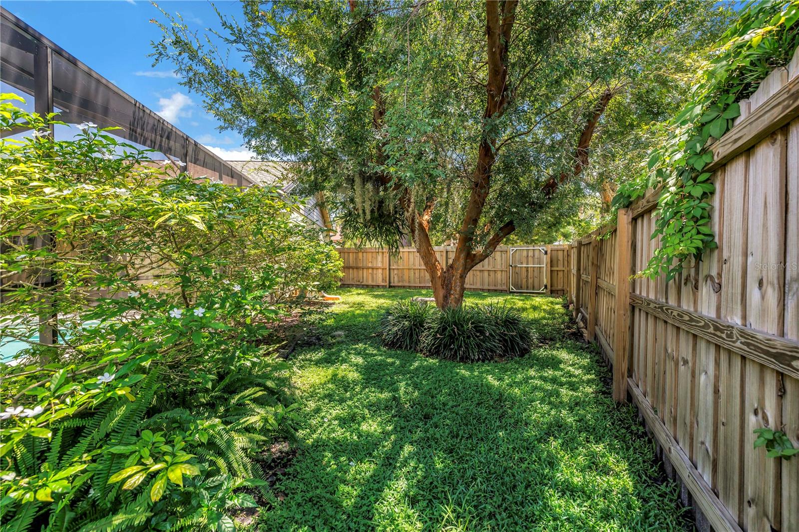 Sideyard