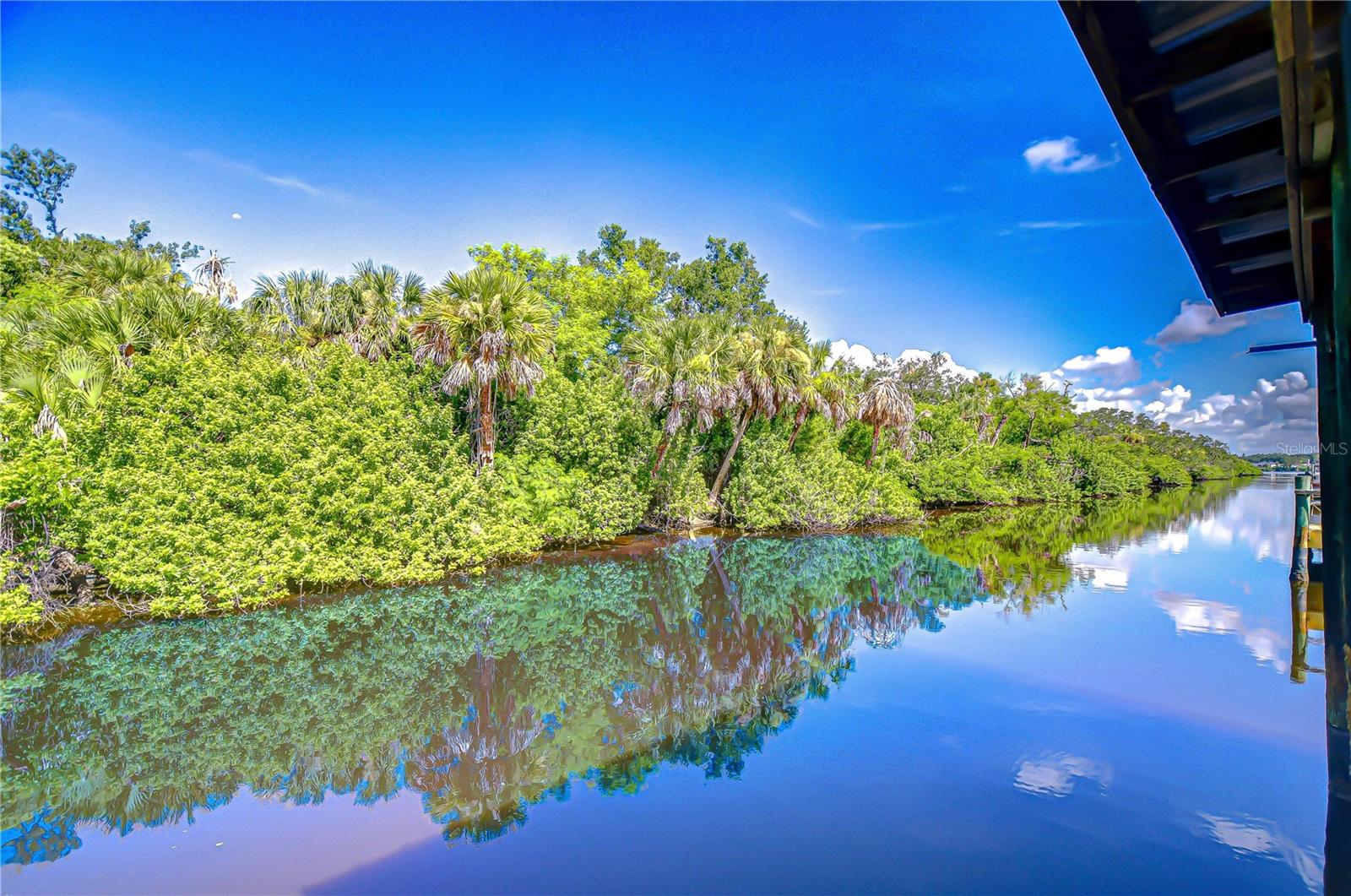 Waterfront Views from Your Backyard!