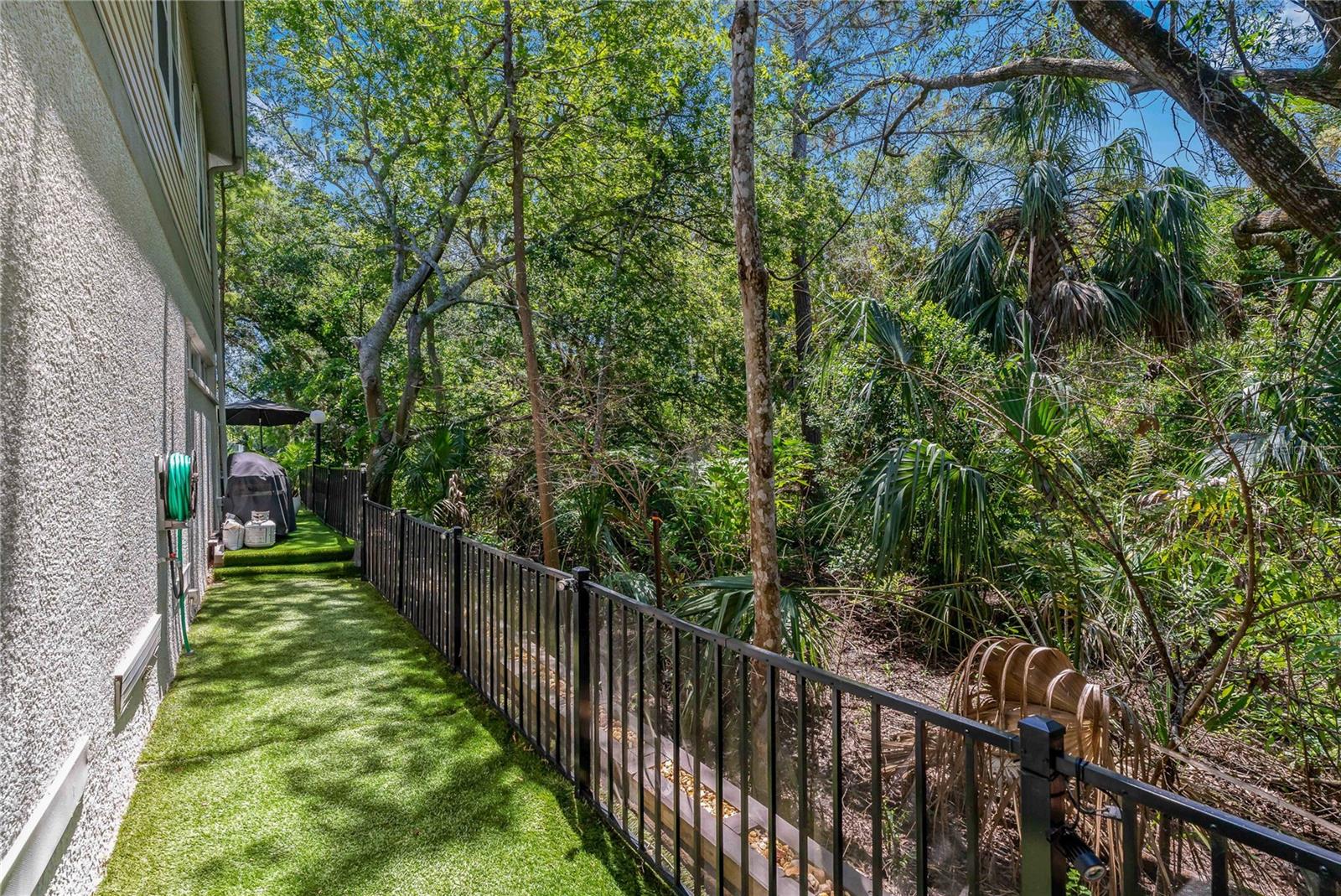 FULLY FENCED IN DOG RUN ~ SIDE YARD