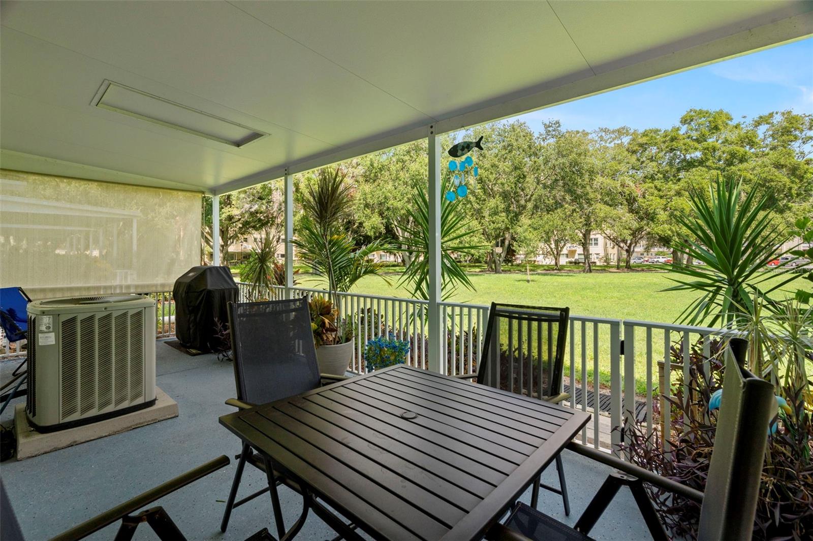 Patio view