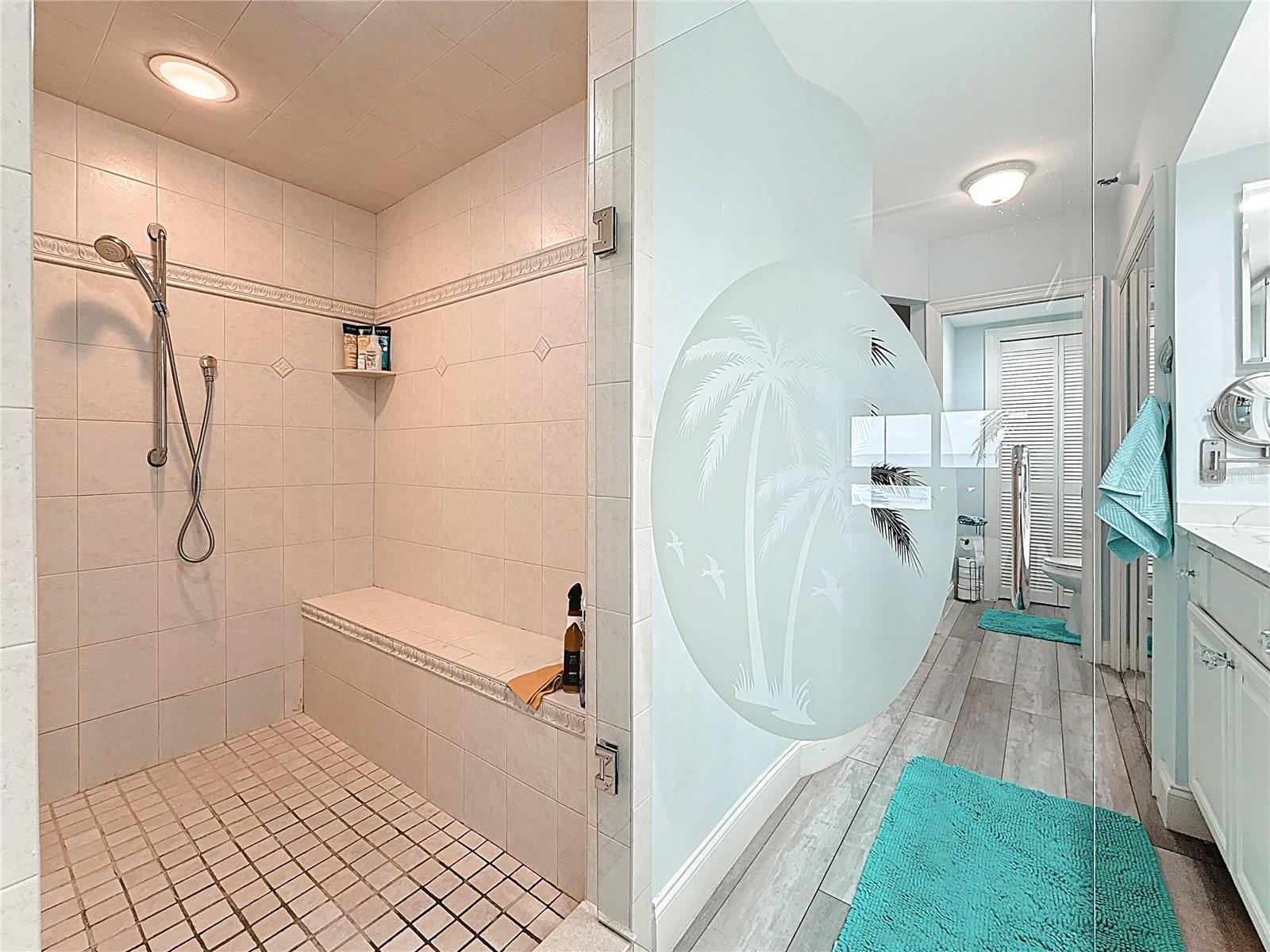 Primary Shower