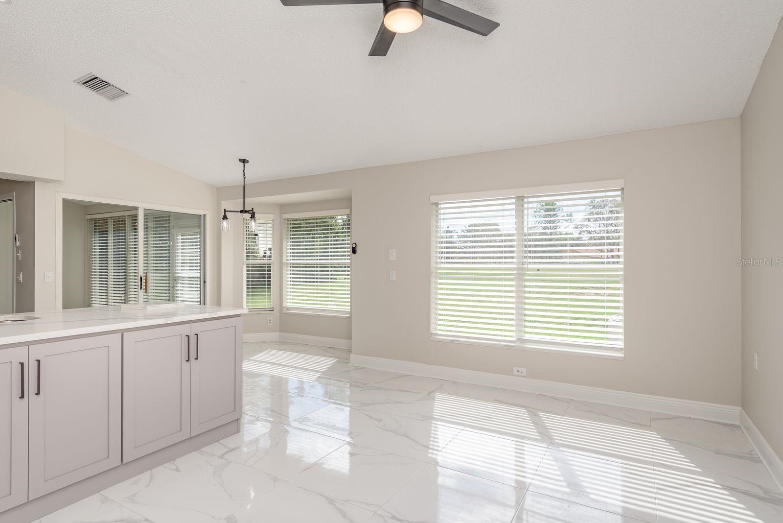 Family Room and Kitchen