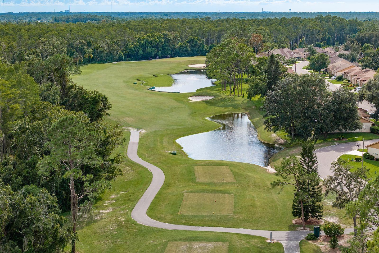 Aerial and Golf Course View