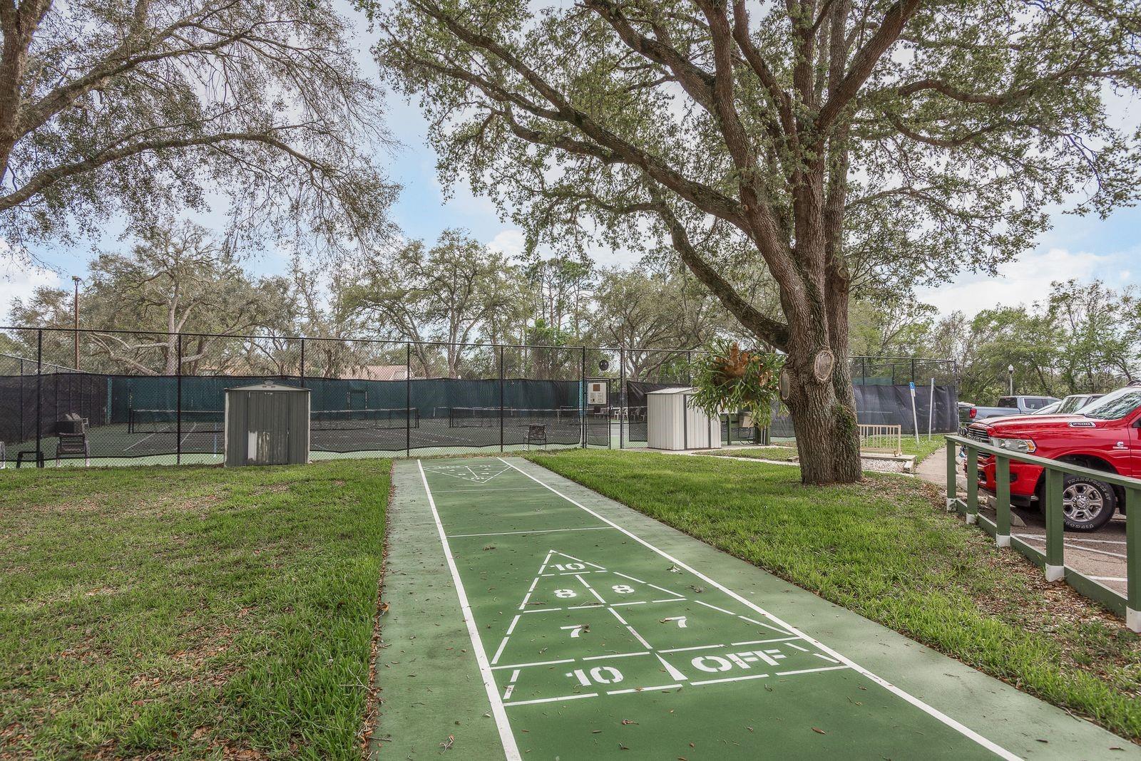 Shuffleboard
