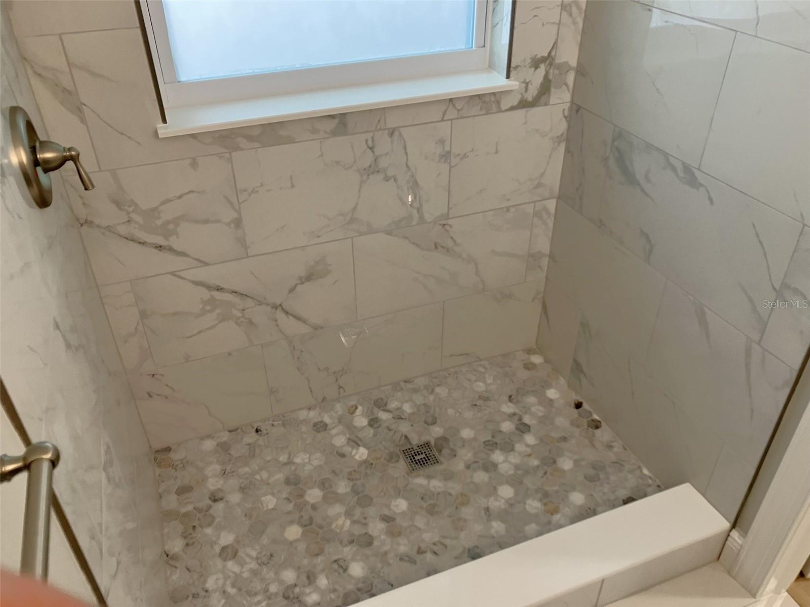 Primary Shower