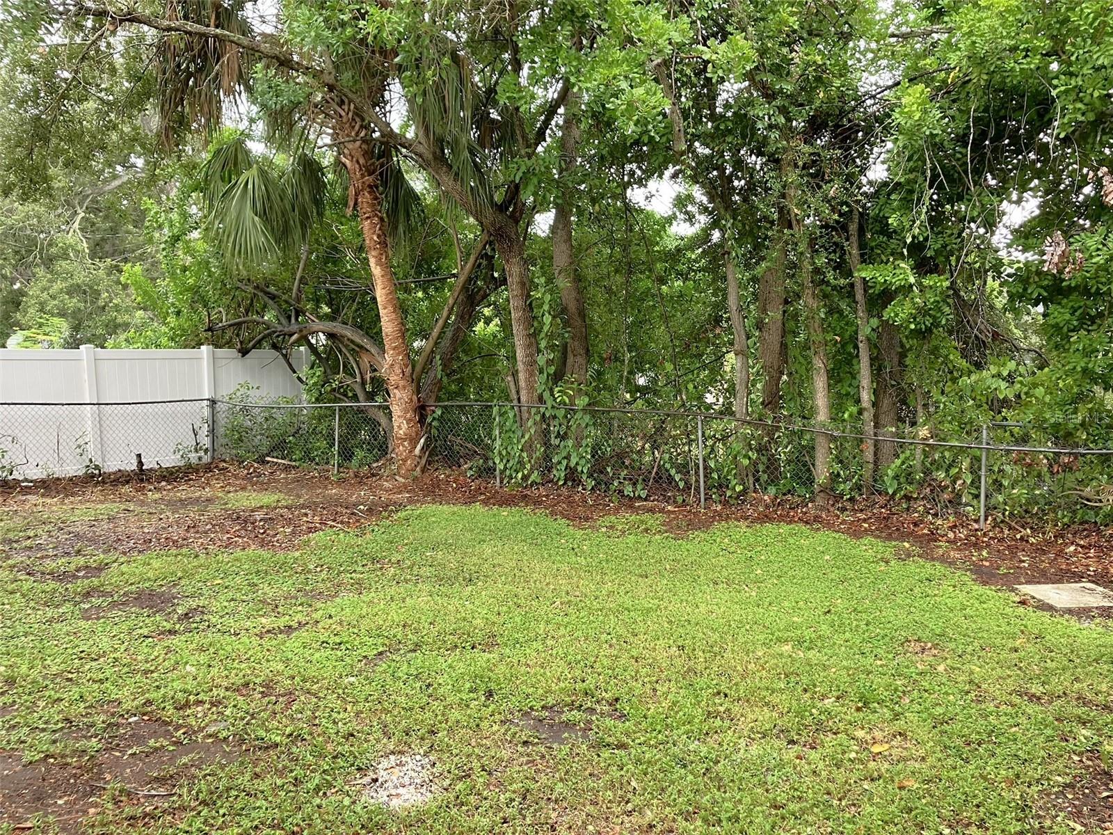 Back Yard