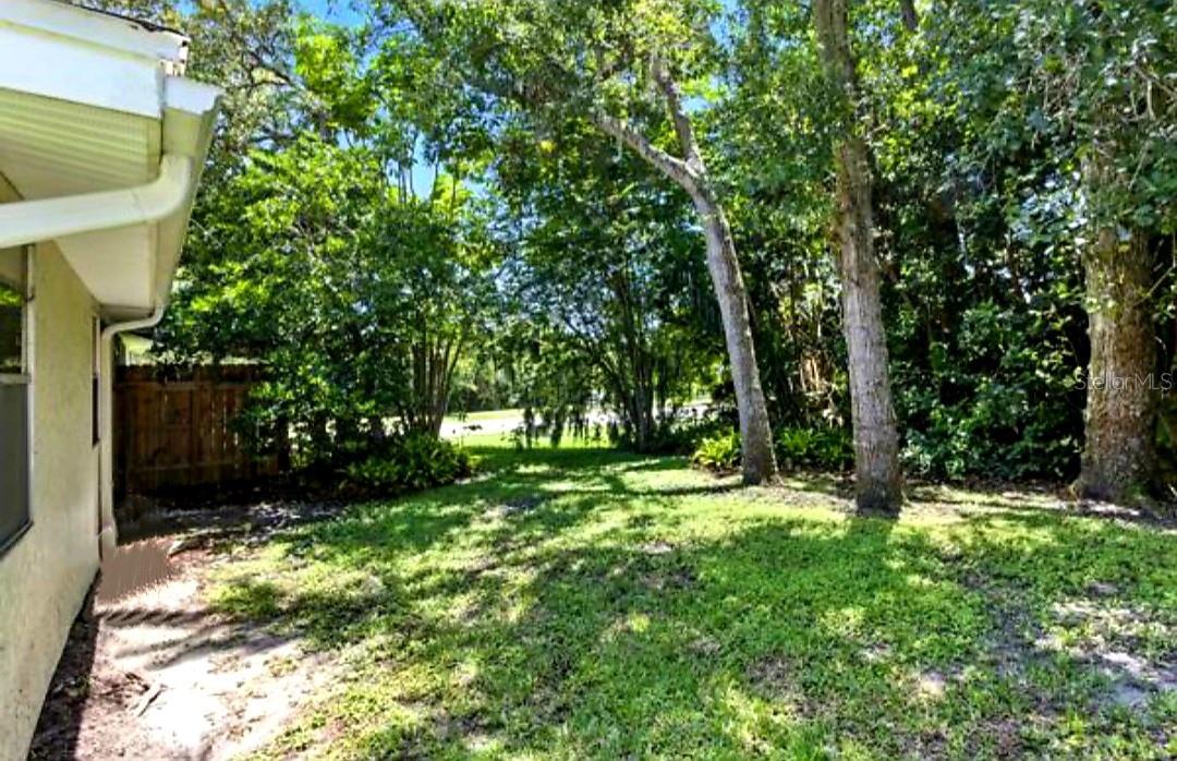 Rear Yard