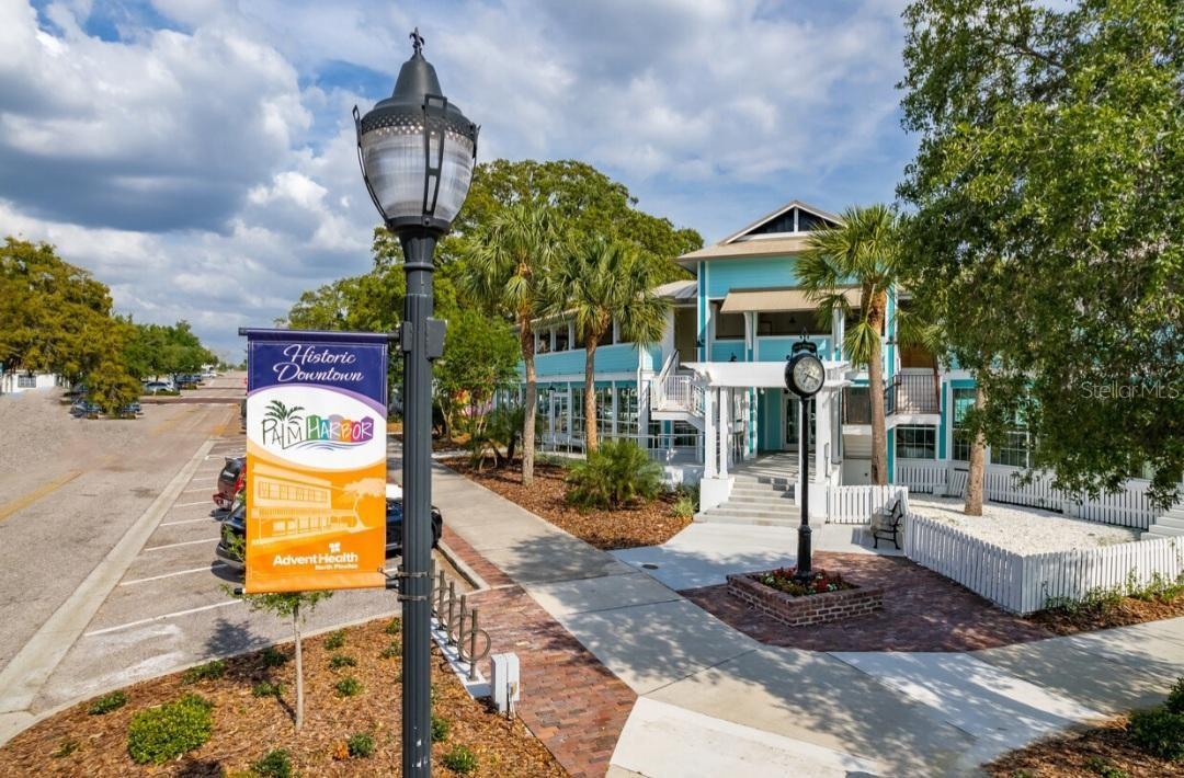 Downtown Palm Harbor