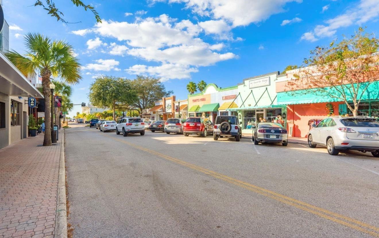 Close To Downtown Dunedin
