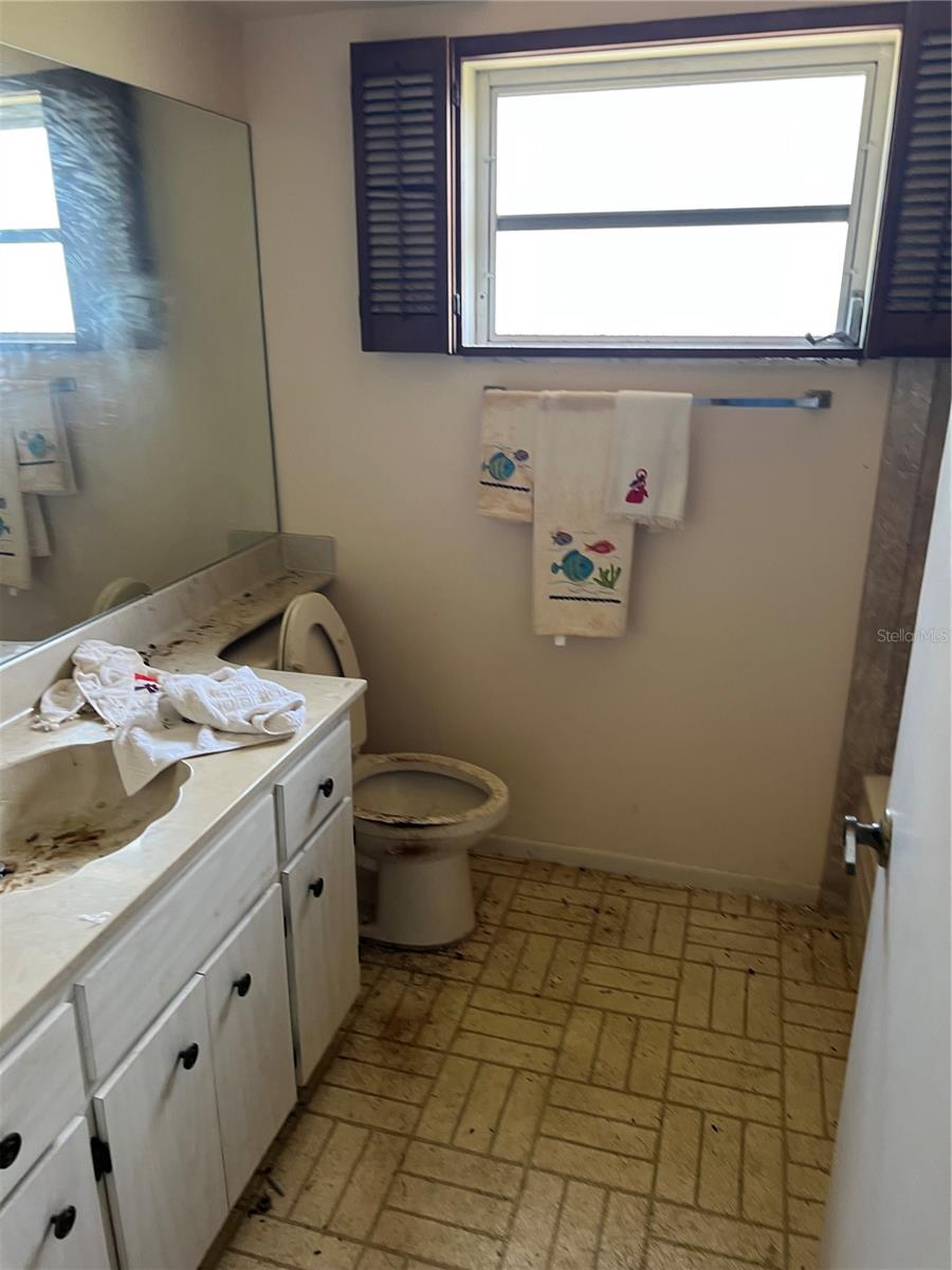 Hall Bathroom