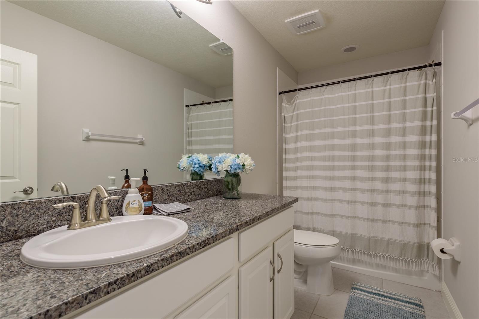 Main Bathroom upstairs