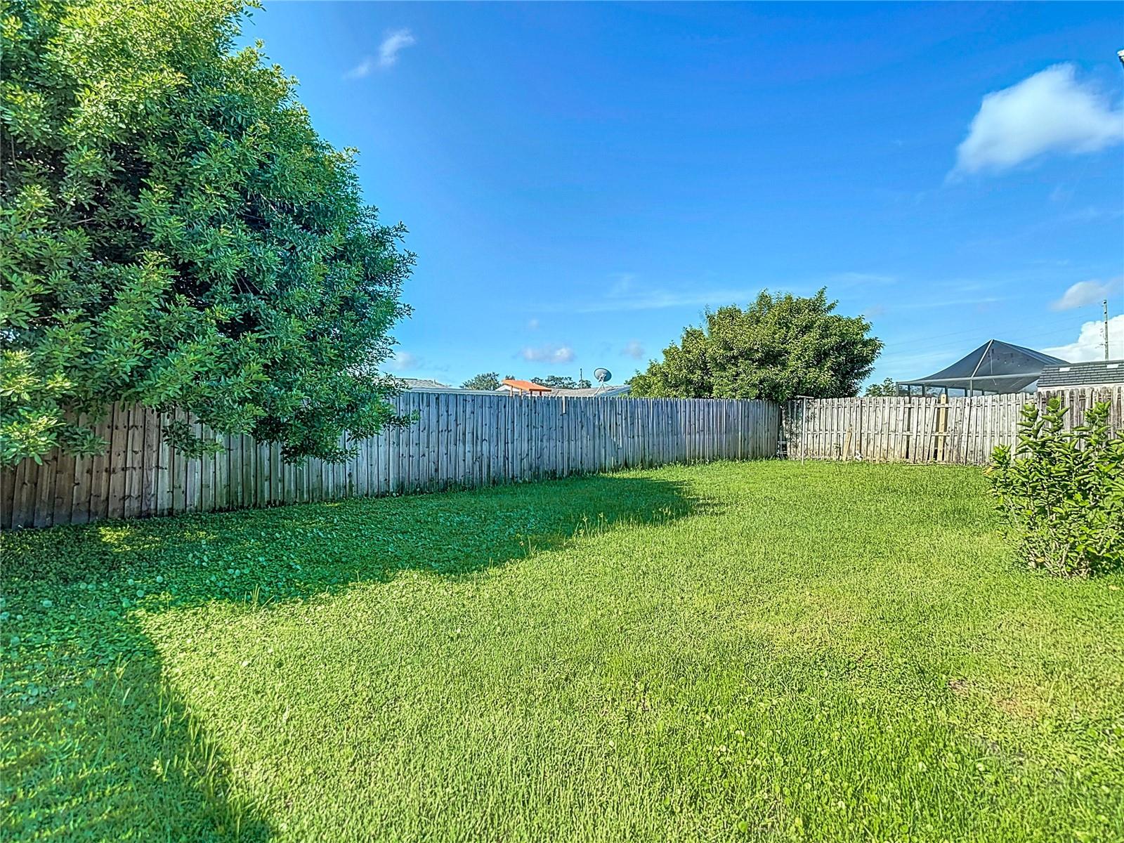 Fenced yard