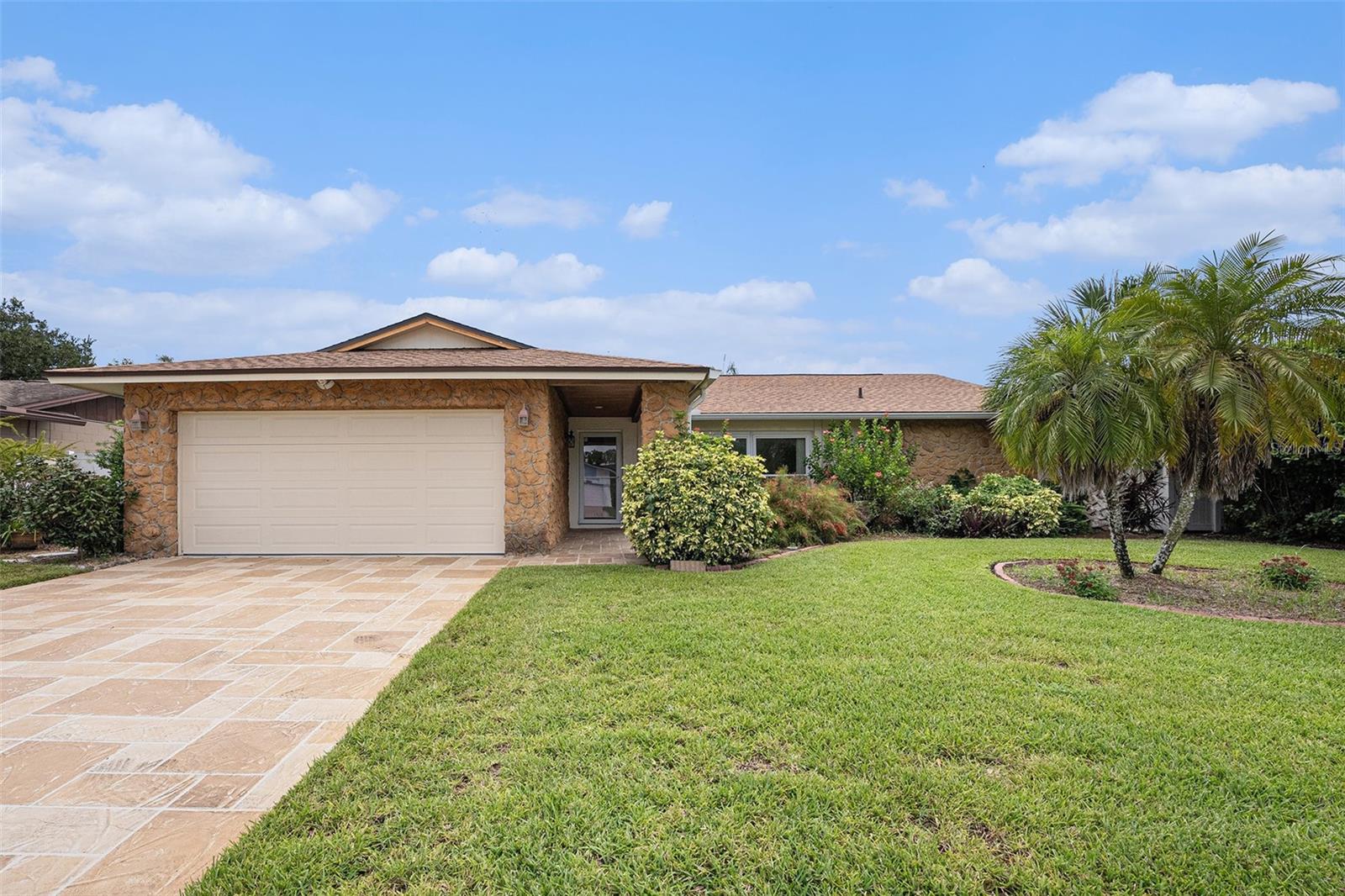 Carrollwood neighborhood is calling!