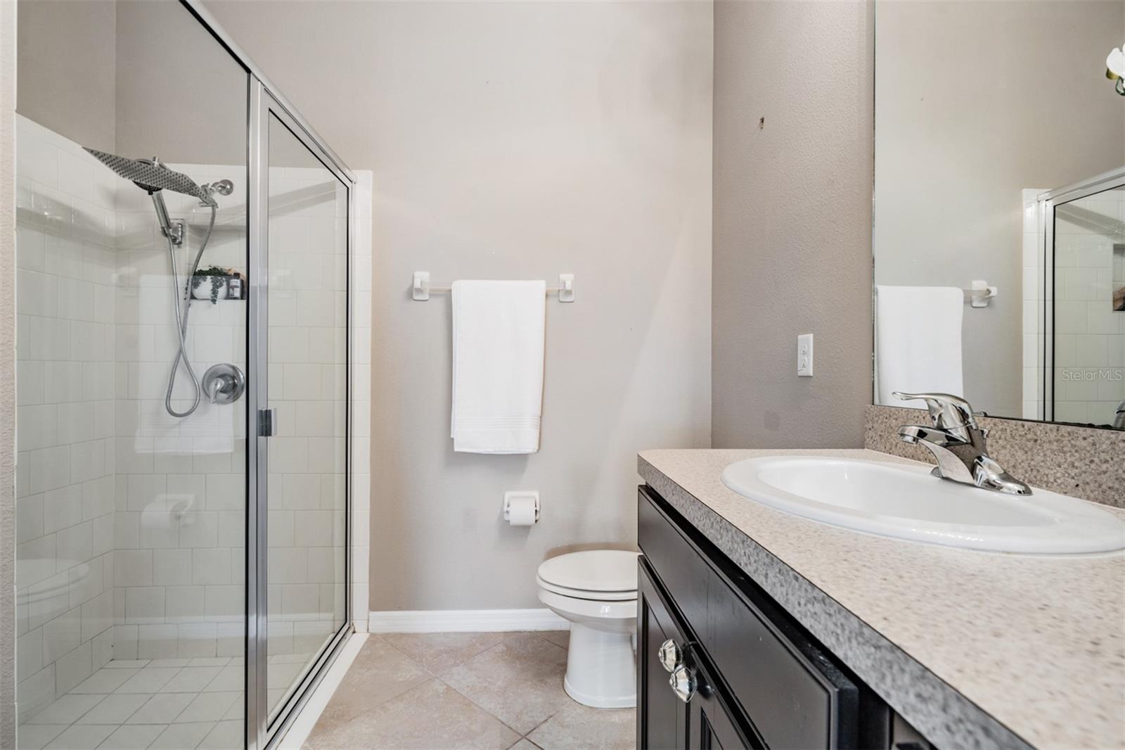 Primary walk-in Shower