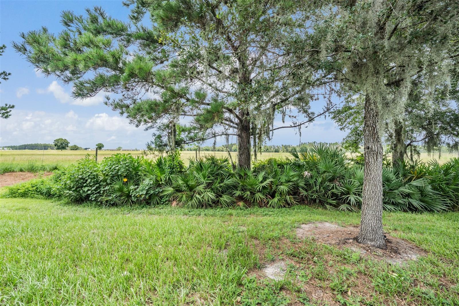 Backyard Space overlooking pasture