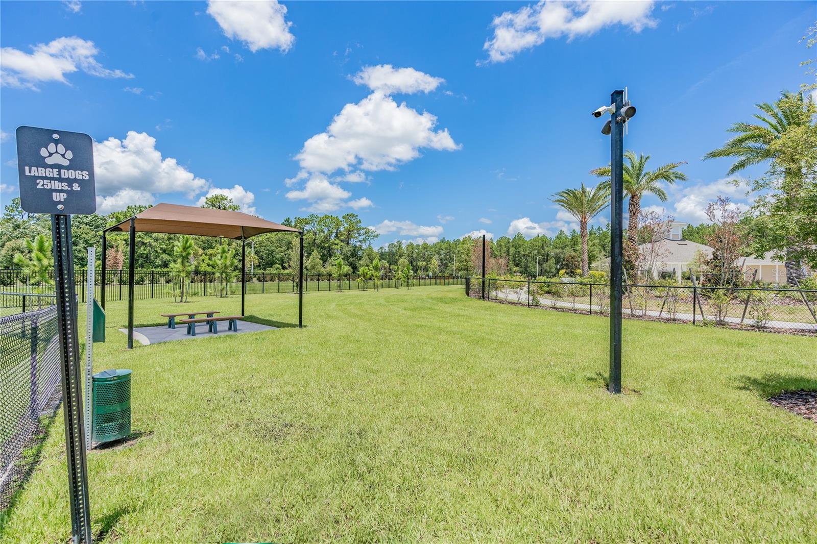 Large Dog Park  Play Area