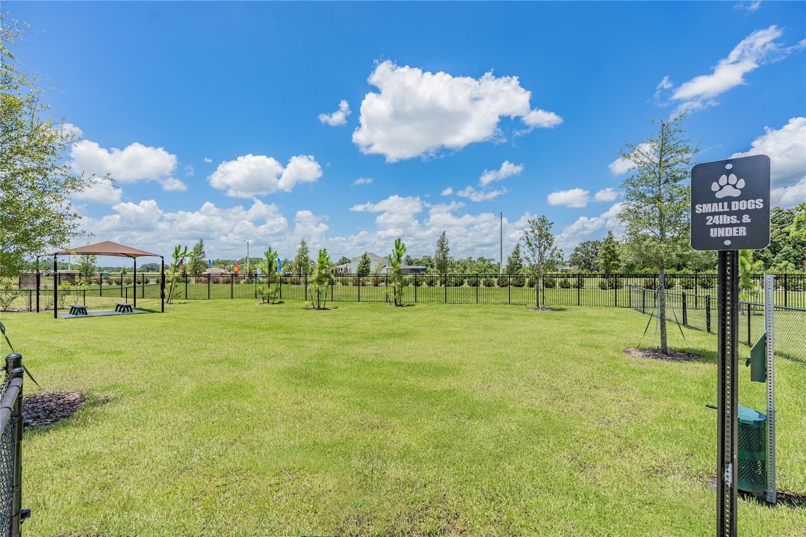 Small Dog park area