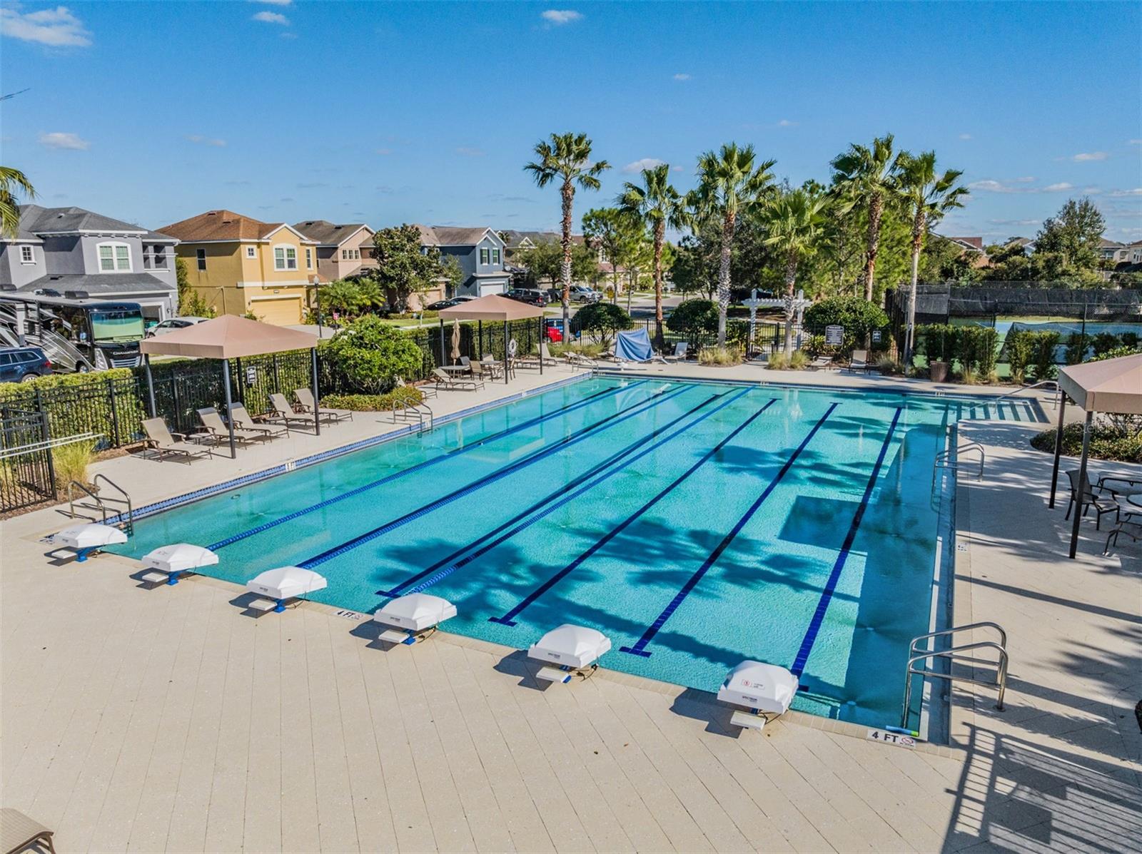 Lap Pool